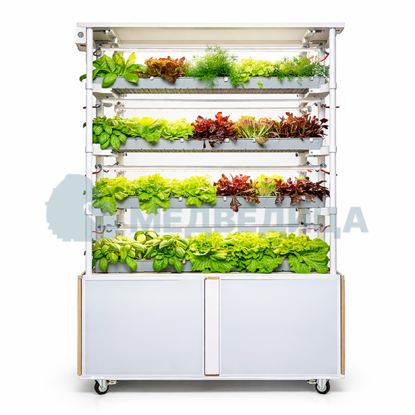 Комплект лабораторного оборудования «Типы почв и рост растений 2.0»